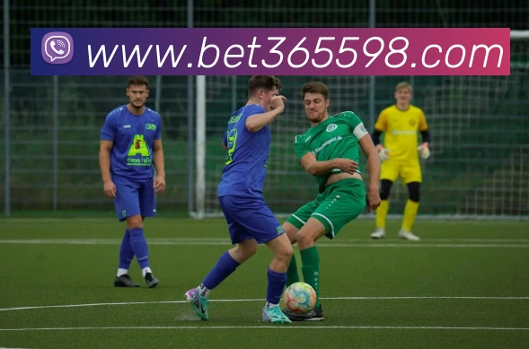 bet365中国官网全站App